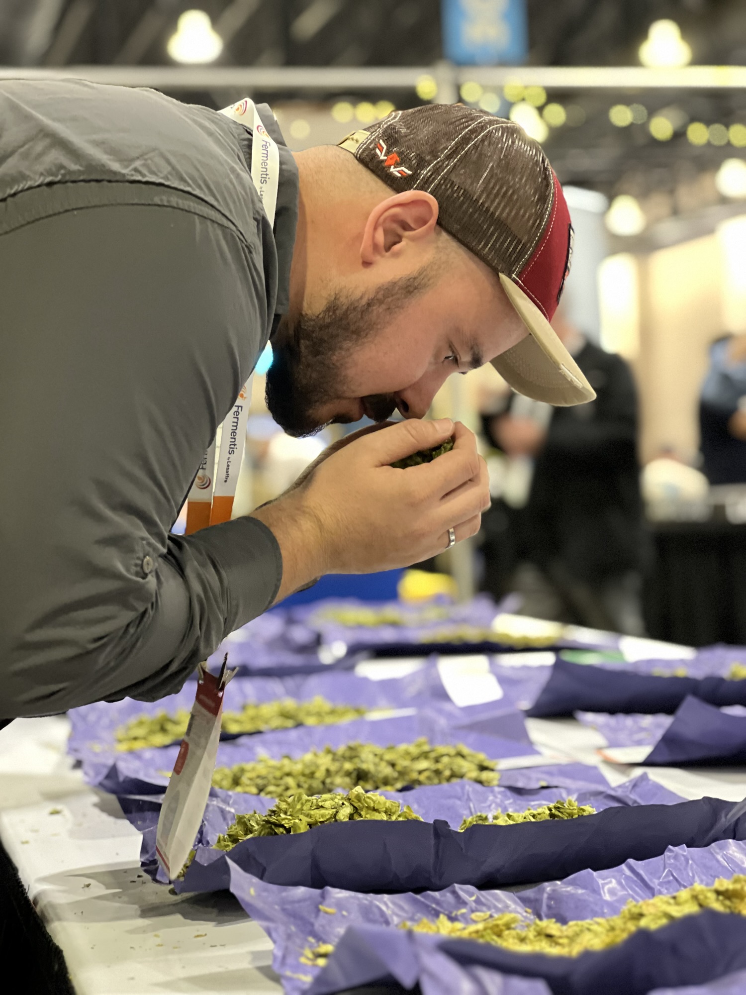Raw Material Receiving: The Brewery’s First Quality Control